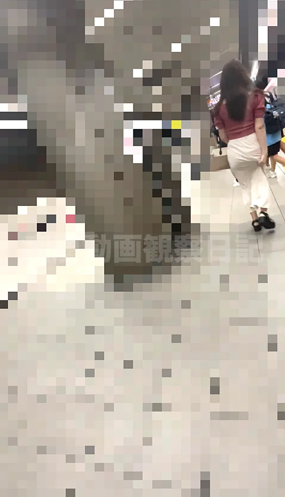 [乗車記録168]アンニュイ眼鏡美女の本能的受容...ロングスカートに浮き出る腰回りの曲線に理性が狂う。-25