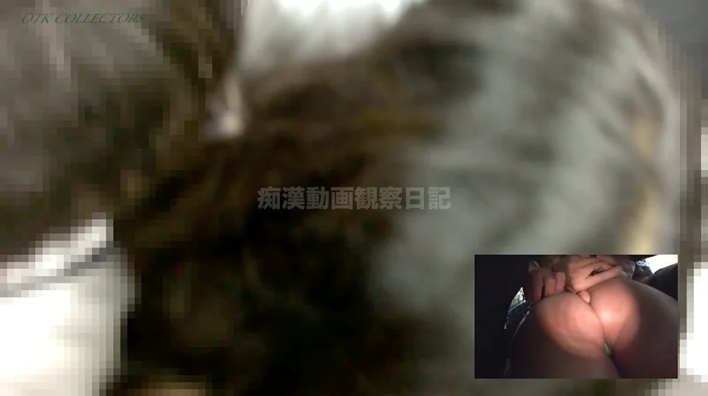 【再販】本物の満員電車に突撃！5　～過去最高に痴●を呼び寄せた女～-5