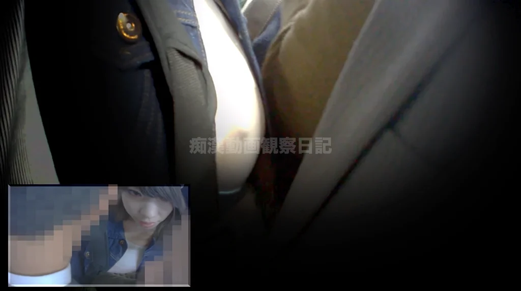 【再販】本物の満員電車に突撃!7 ~ノーブラで街を闊歩する分厚い唇女~-18